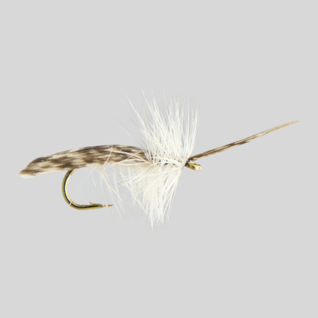 Cream Tent Caddis (SÈCHE)