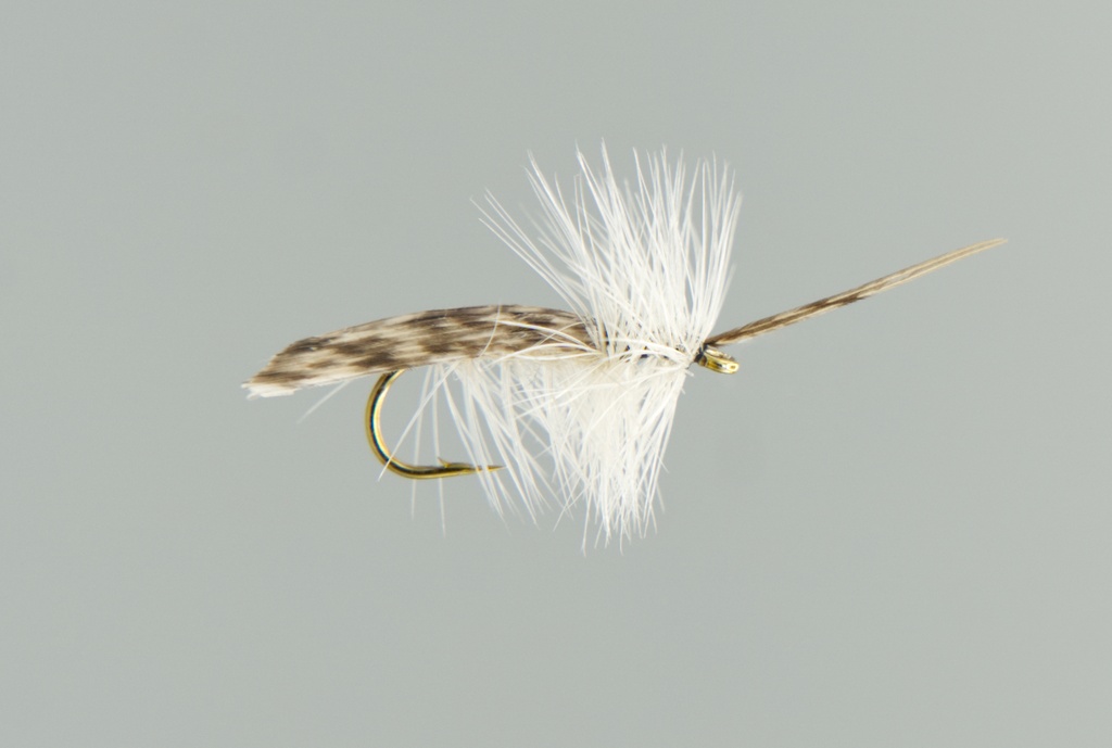 NEPTUNE FLIES - Cream Tent Caddis (DRY)