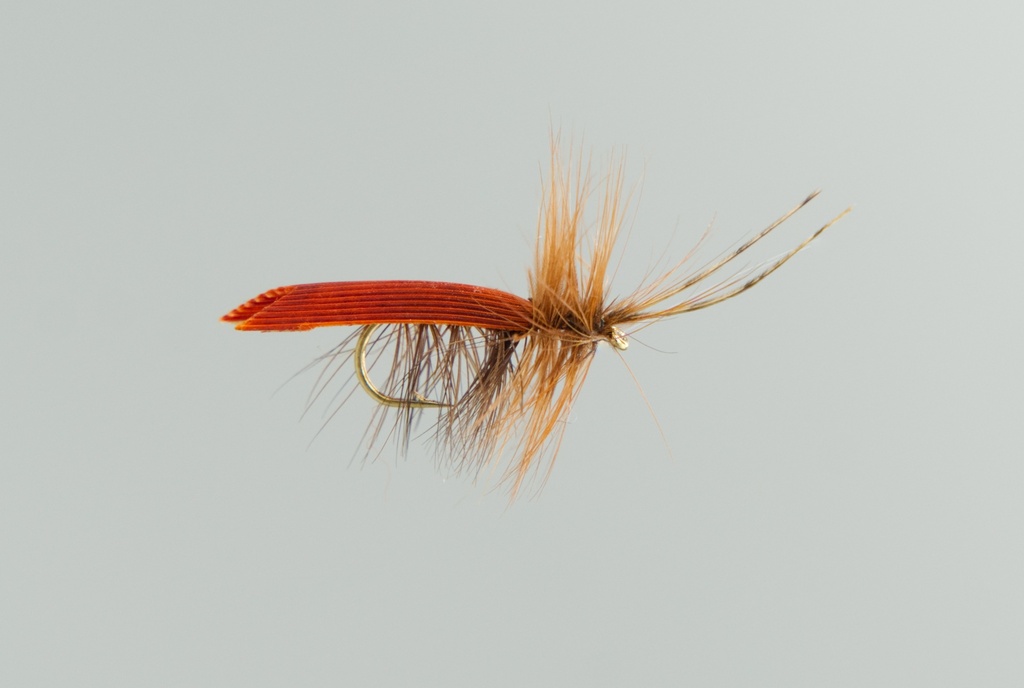 Dark Brown Tent Caddis (SÈCHE)