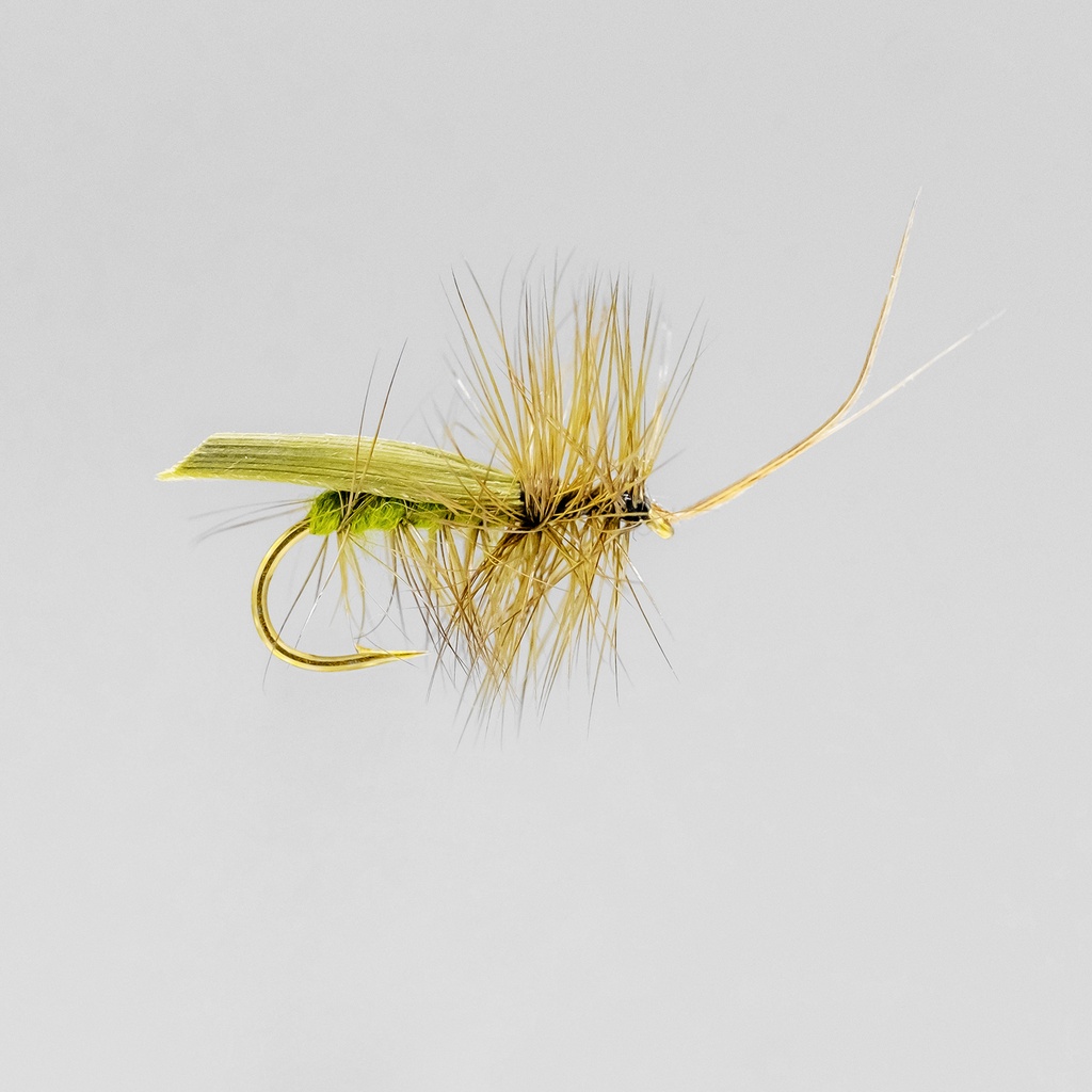 NEPTUNE FLIES - Olive Tent Caddis (DRY)