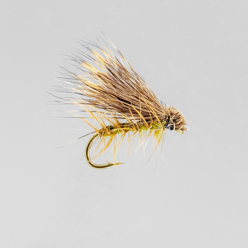 Elk Hair Caddis Olive(SÈCHE)