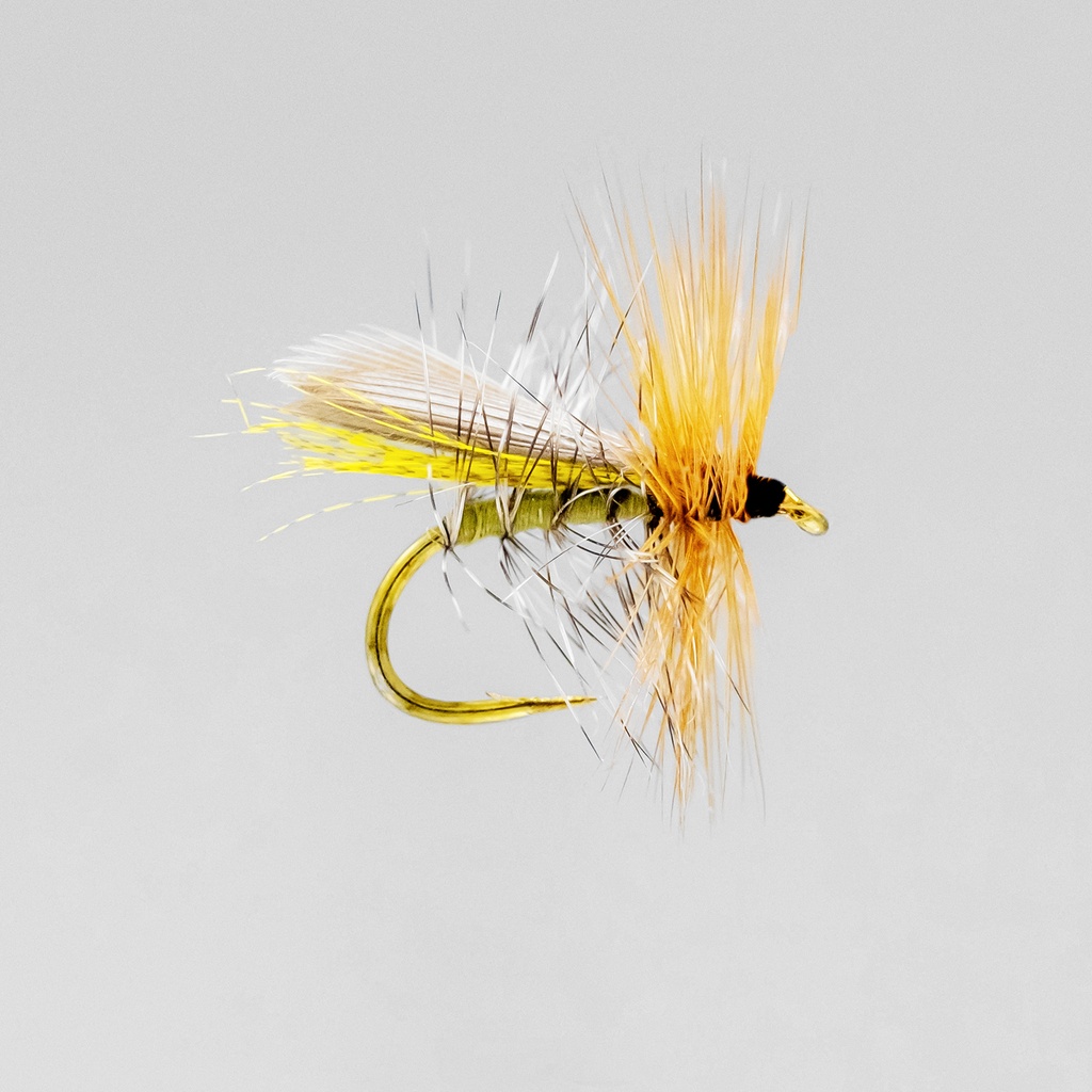 Henryville Special Caddis (SÈCHE)