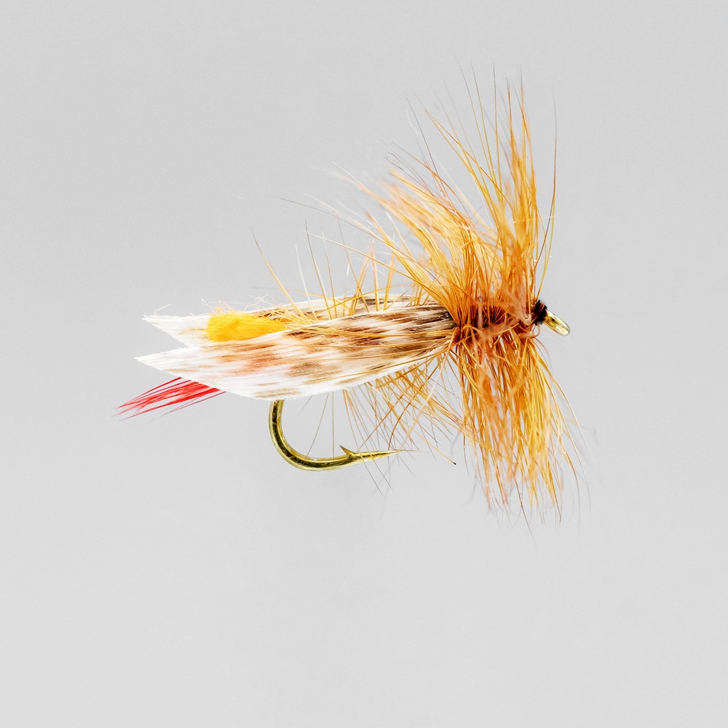 NEPTUNE FLIES - Orange Grasshopper (DRY)