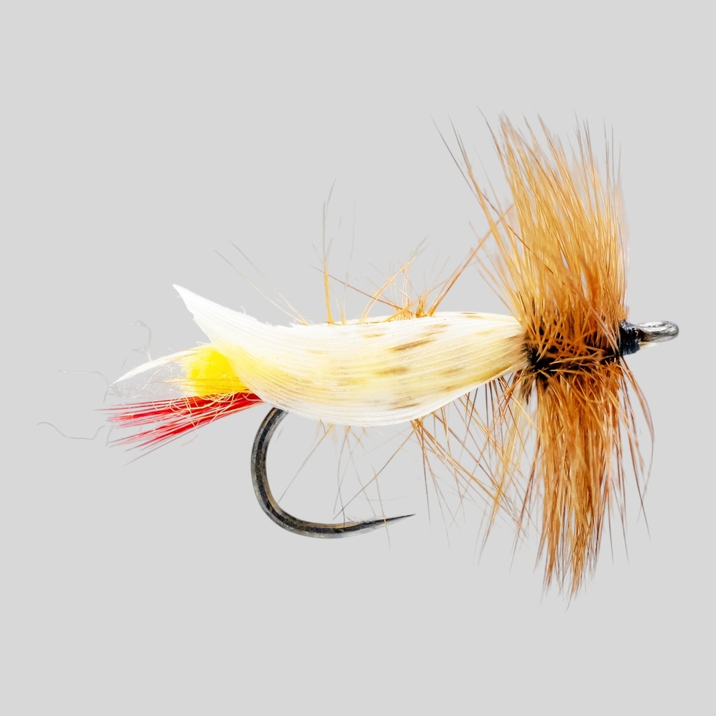 Yellow Grasshopper 