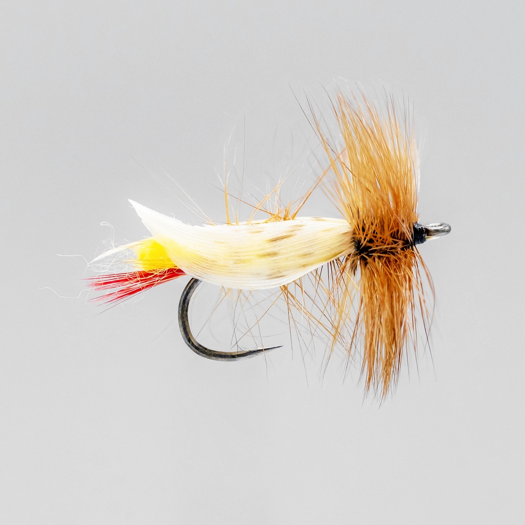 Yellow Grasshopper (SÈCHE)