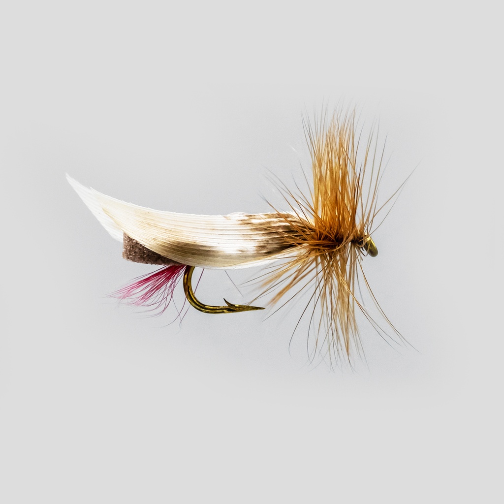 Brown Foam Body (SÈCHE)