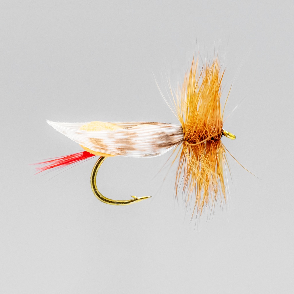 NEPTUNE FLIES - Orange Foam Body (DRY)