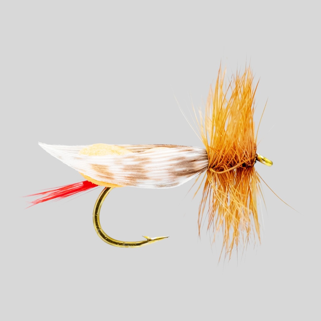 Orange Foam Body 