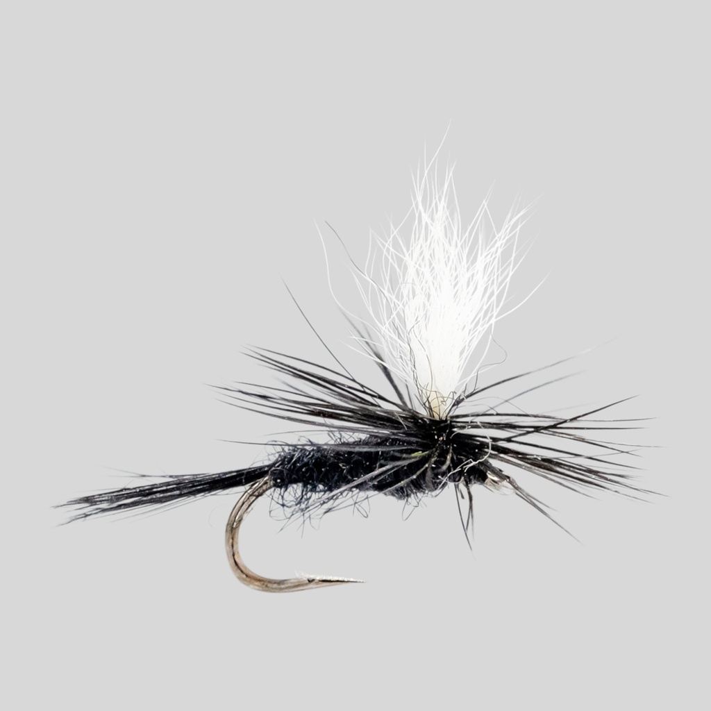 Black Nat Parachute 