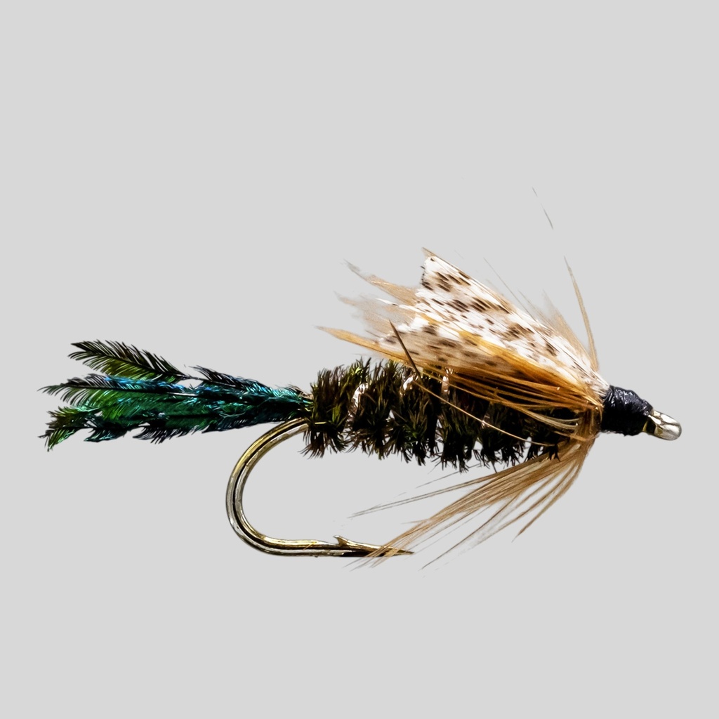 Zug Bug Nymphs 