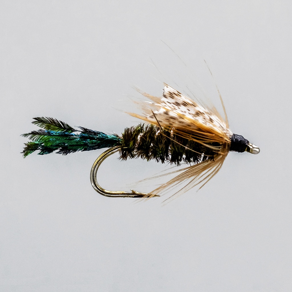 Zug Bug Nymphs (NYMPH)