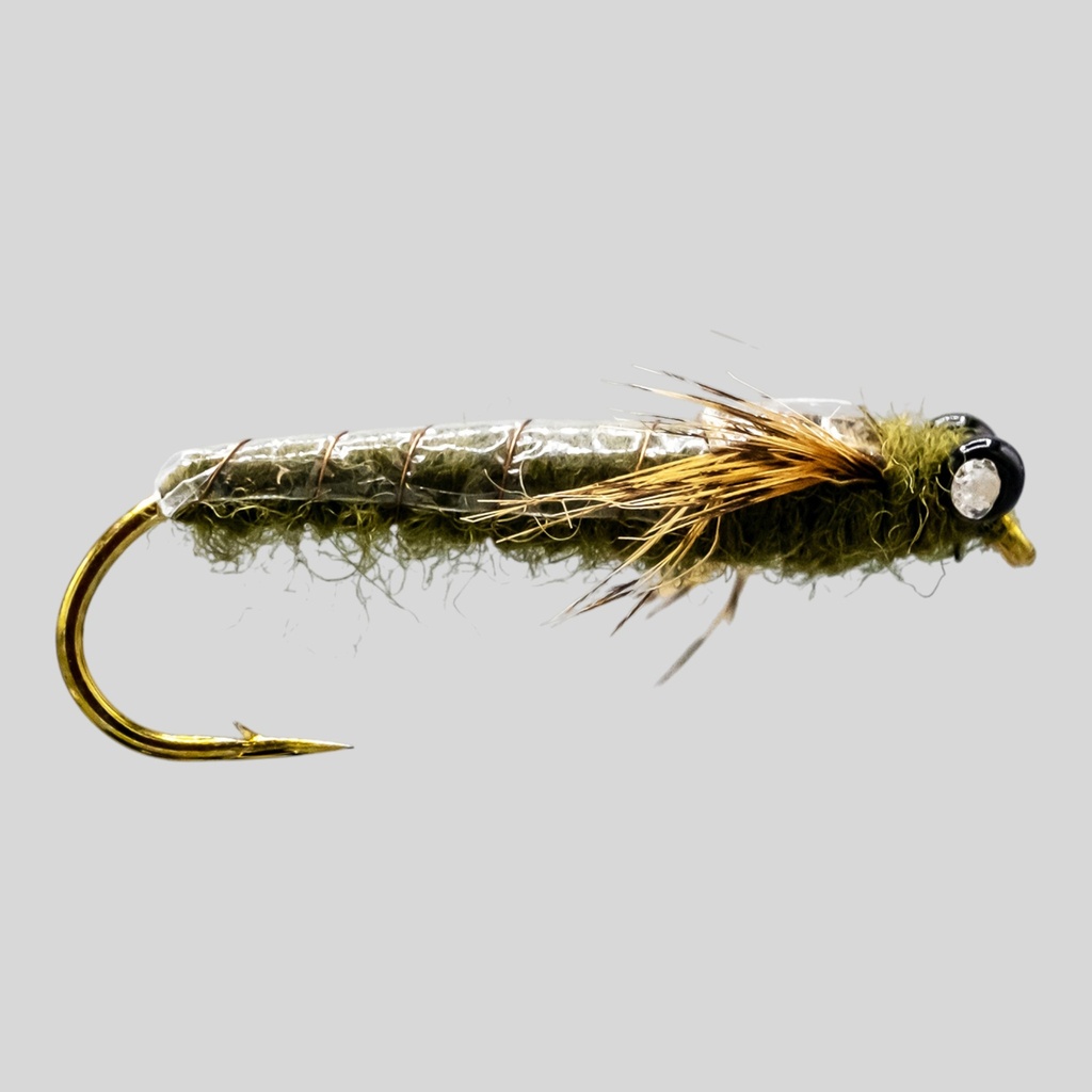Olive Dragon 