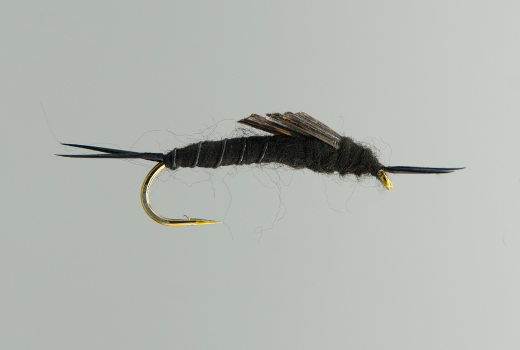 NEPTUNE FLIES - Black Stonefly