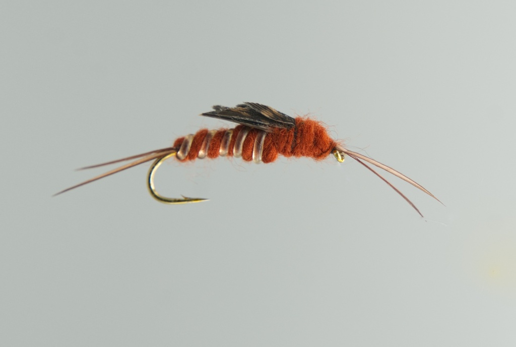 Brown Stone Fly (NYMPHE)