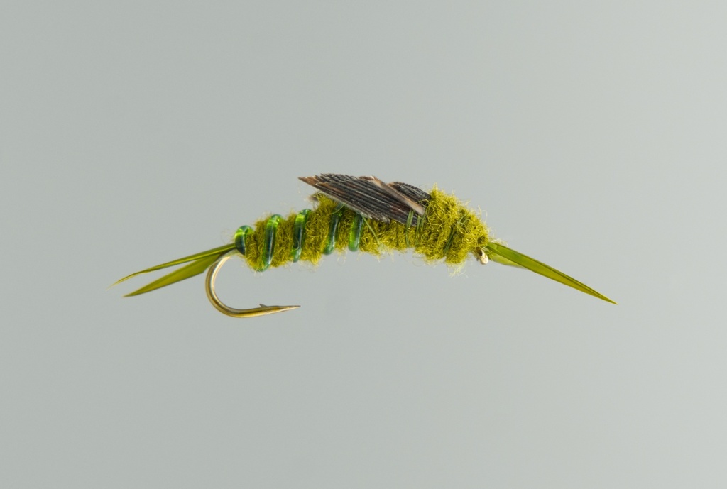 NEPTUNE FLIES - Olive Stone Fly (NYMPH)