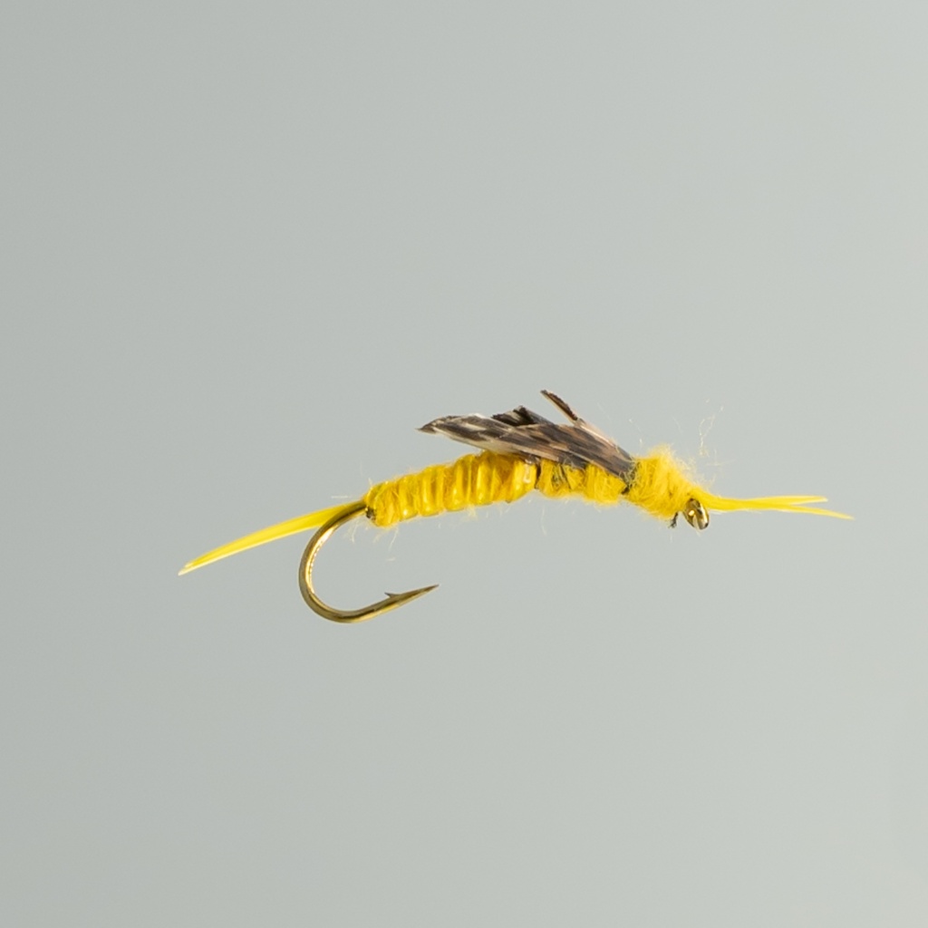 NEPTUNE FLIES - Golden Stone Fly (NYMPH)