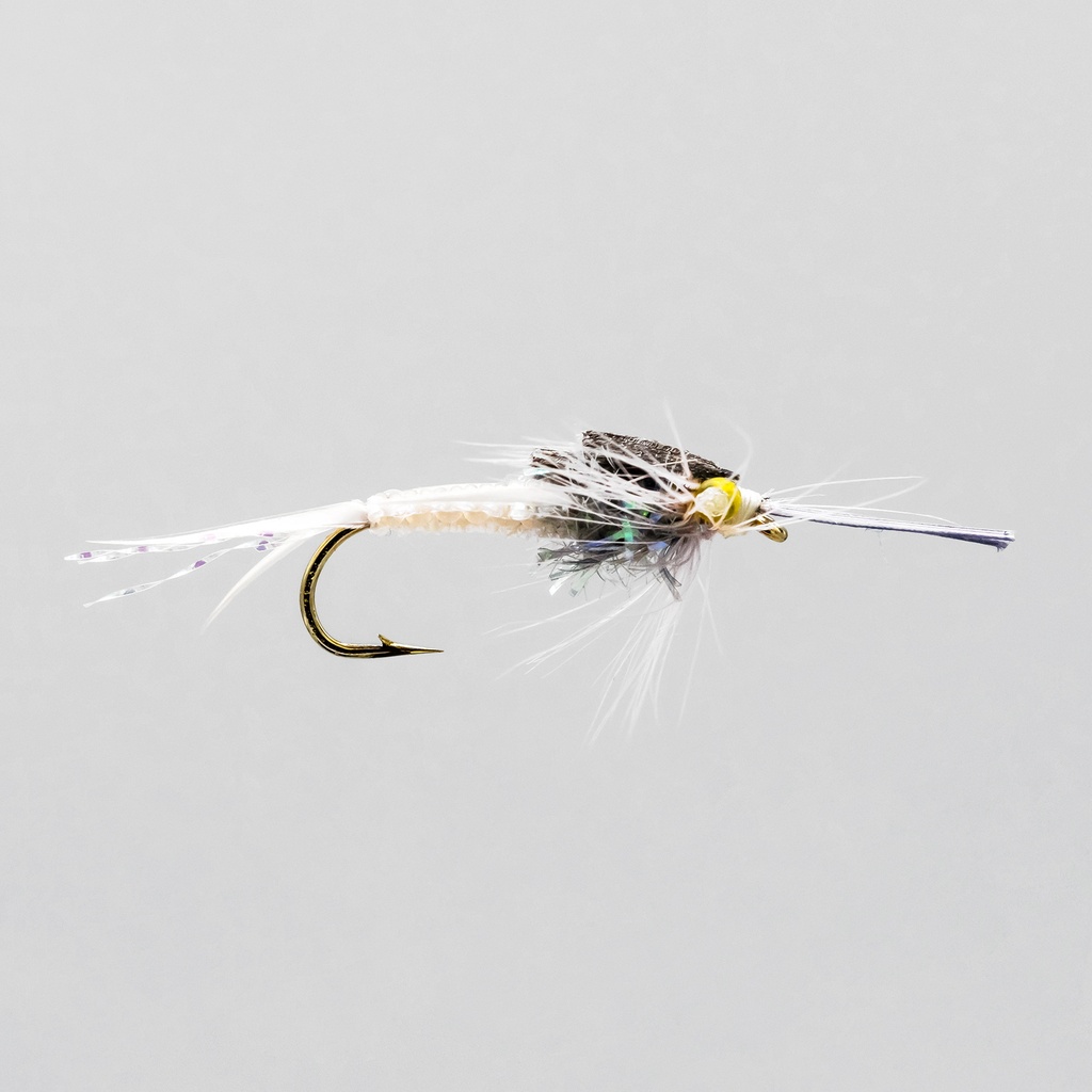 NEPTUNE FLIES - Olive Braided Stone Fly Nymphs (NYMPH)