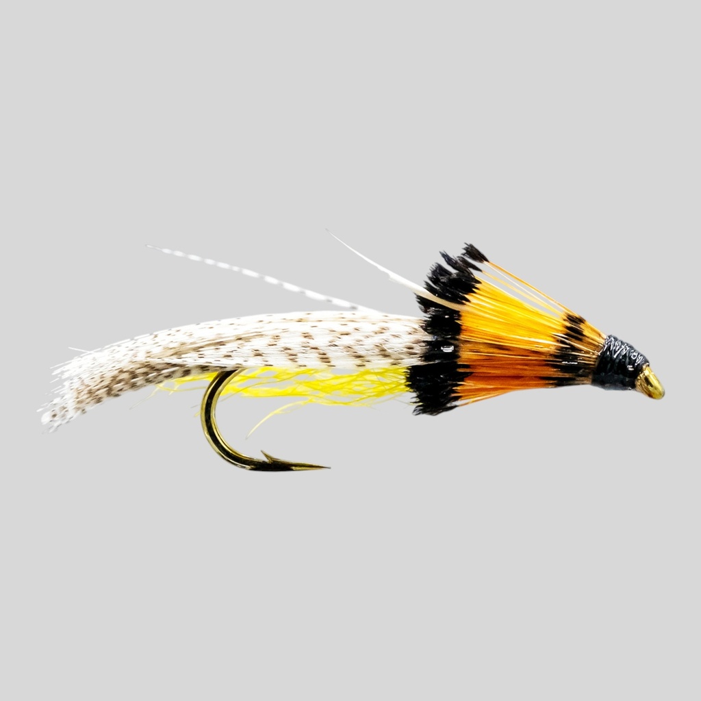 Fiset Streamer