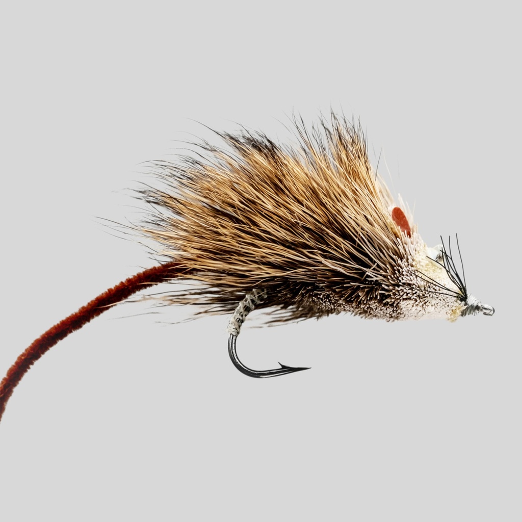 Rat