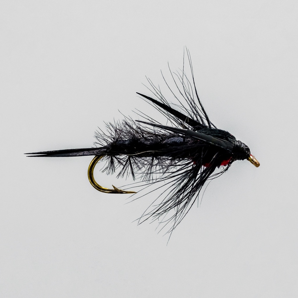 Black Helgramite (NYMPHE)