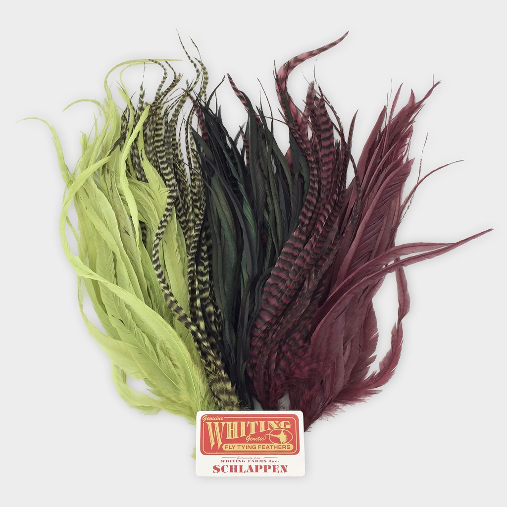 WHITING SCHLAPPEN BUNDLE 10 - 14in