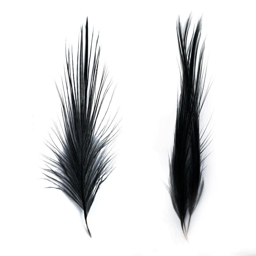 SHOR - PLUMES DE HÉRON