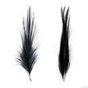 SHOR - PLUMES DE HÉRON