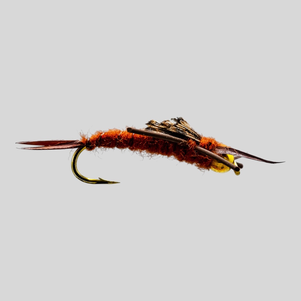 B.H Brown RL Stonefly