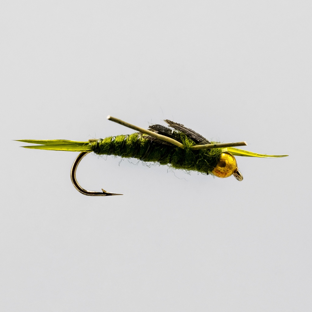NEPTUNE FLIES - Bead Head Olive RL Stonefly