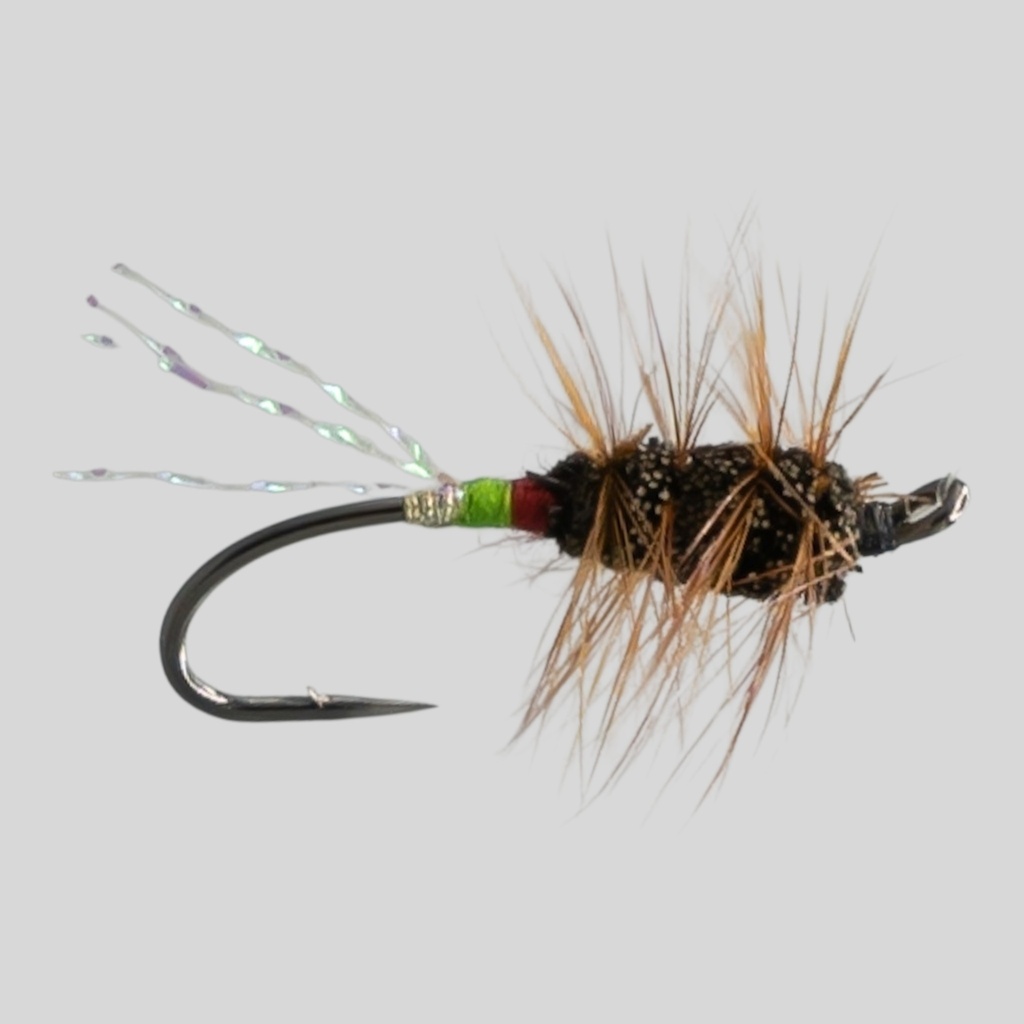 Shady Lady - SINGLE HOOK 