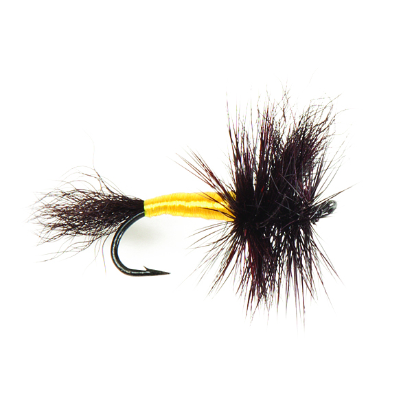 Salmon  Black Wulff