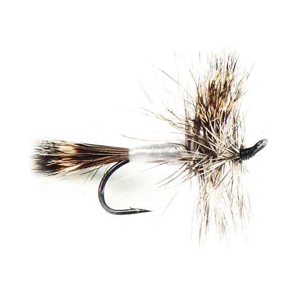 Salmon  Grizzly Wulff 
