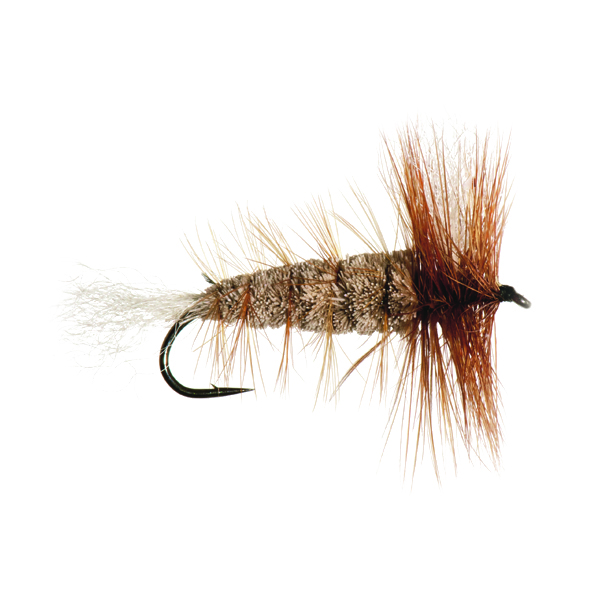 Brown Salmon Bomber 