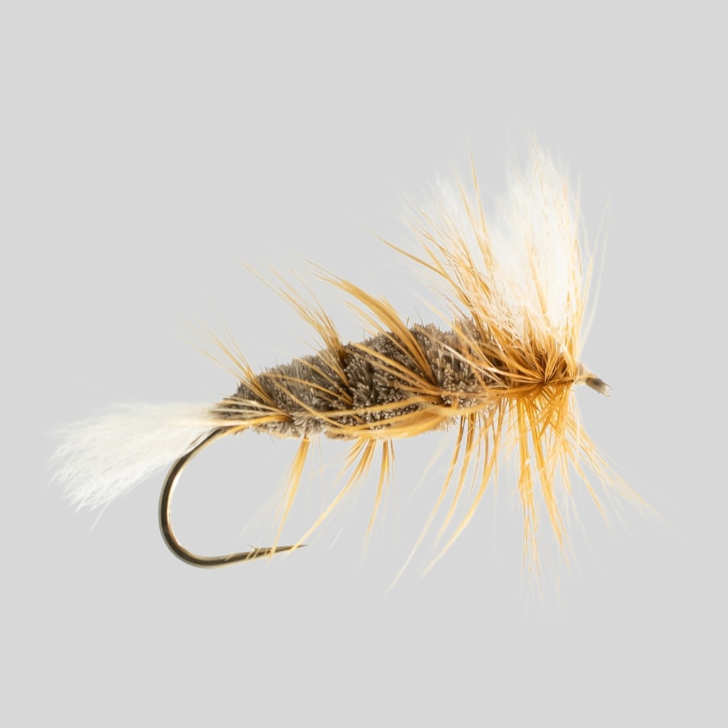 Brown Salmon Bomber 