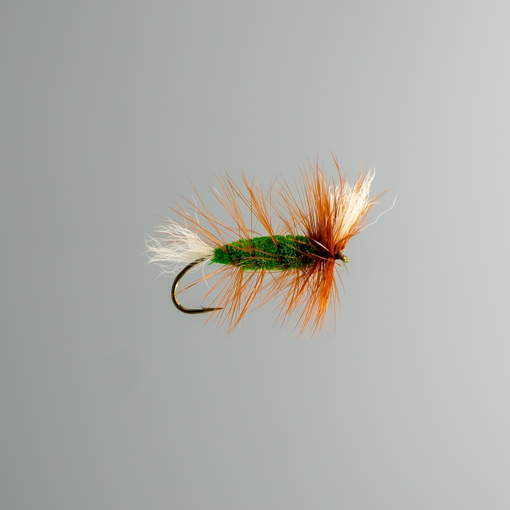 Green Salmon Bomber 