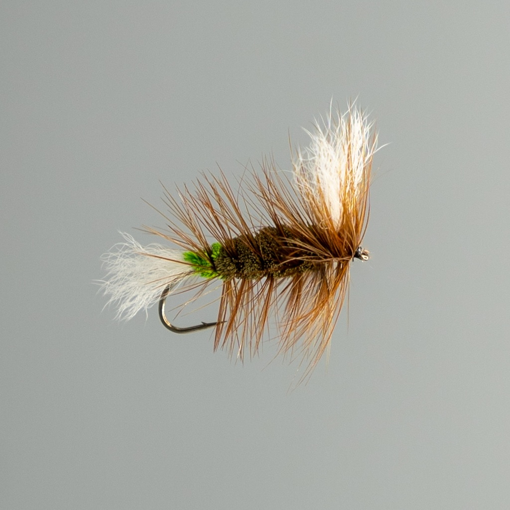 Olive Salmon Killer Whisker