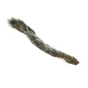 SHOR - SQUIRREL TAIL
