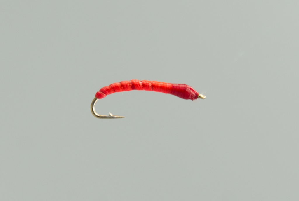 NEPTUNE FLIES - Boroff's Anneworm