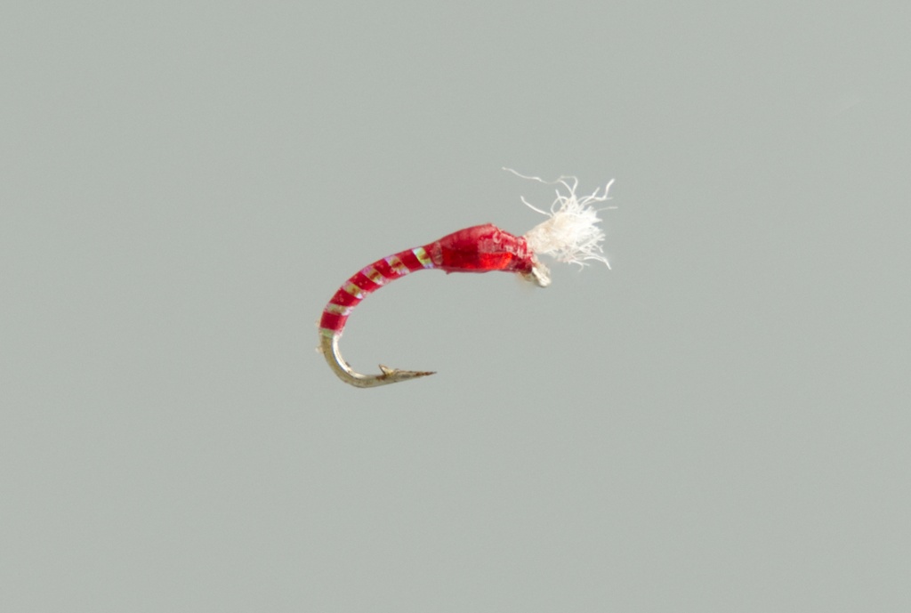 NEPTUNE FLIES - Buzzer 3D Glass Blood