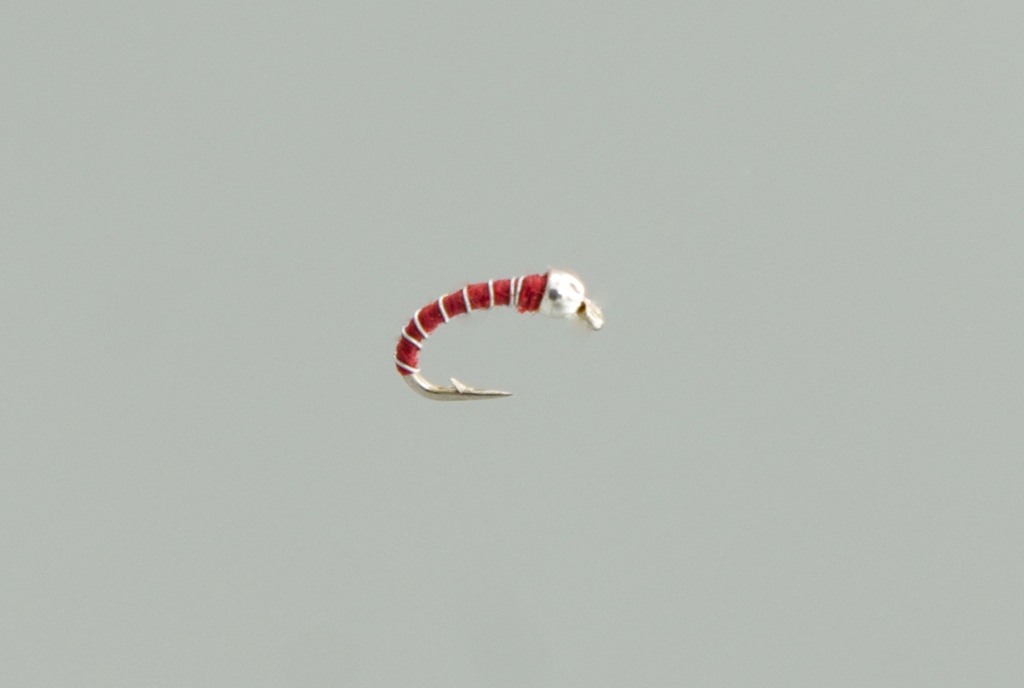 NEPTUNE FLIES - Zebra midge red