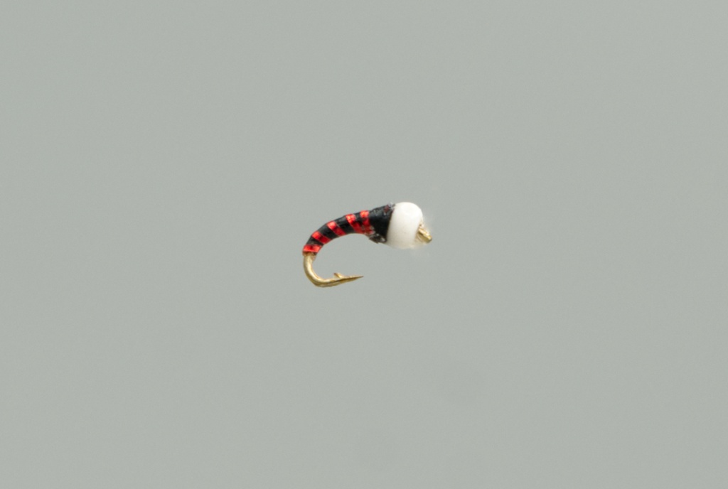 NEPTUNE FLIES - 3D ice cream cone red