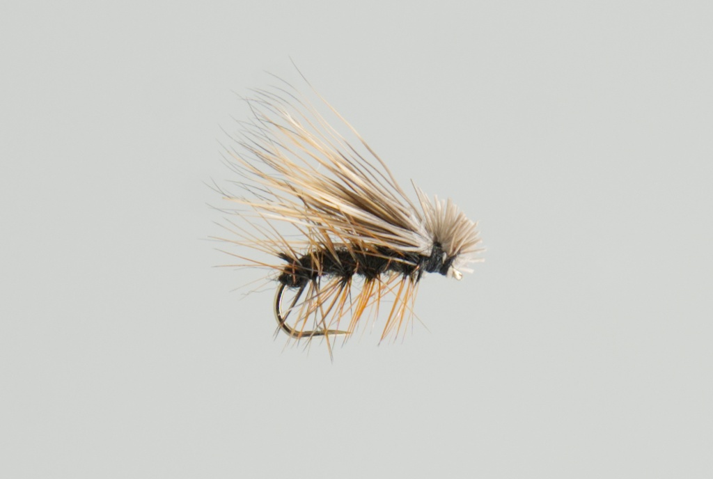 Elk Hair Caddis Black (SÈCHE)