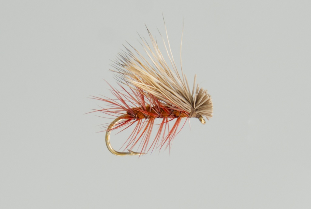 Elk Hair Caddis Brown  (DRY)