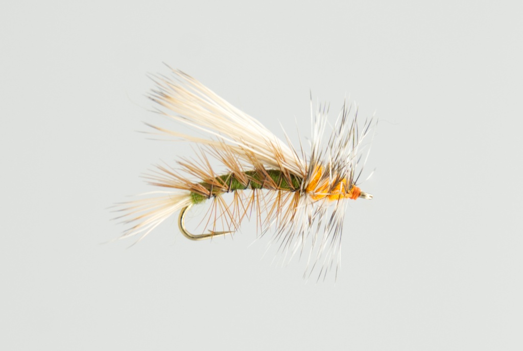Stimulator olive (DRY)