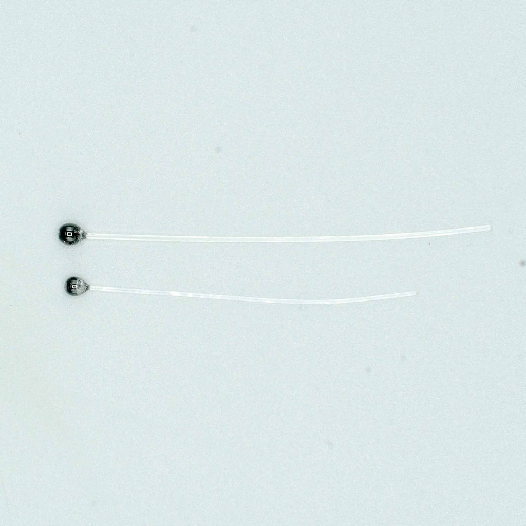 SHOR - MONO SHRIMP EYES