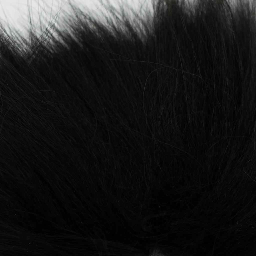 SHOR - QUEUE DE FINN RACCOON