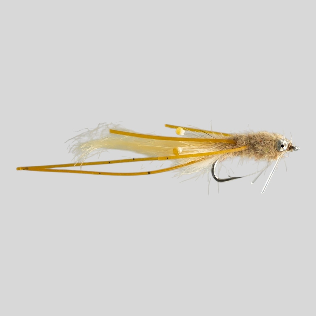 Mantis Shrimp - Tan
