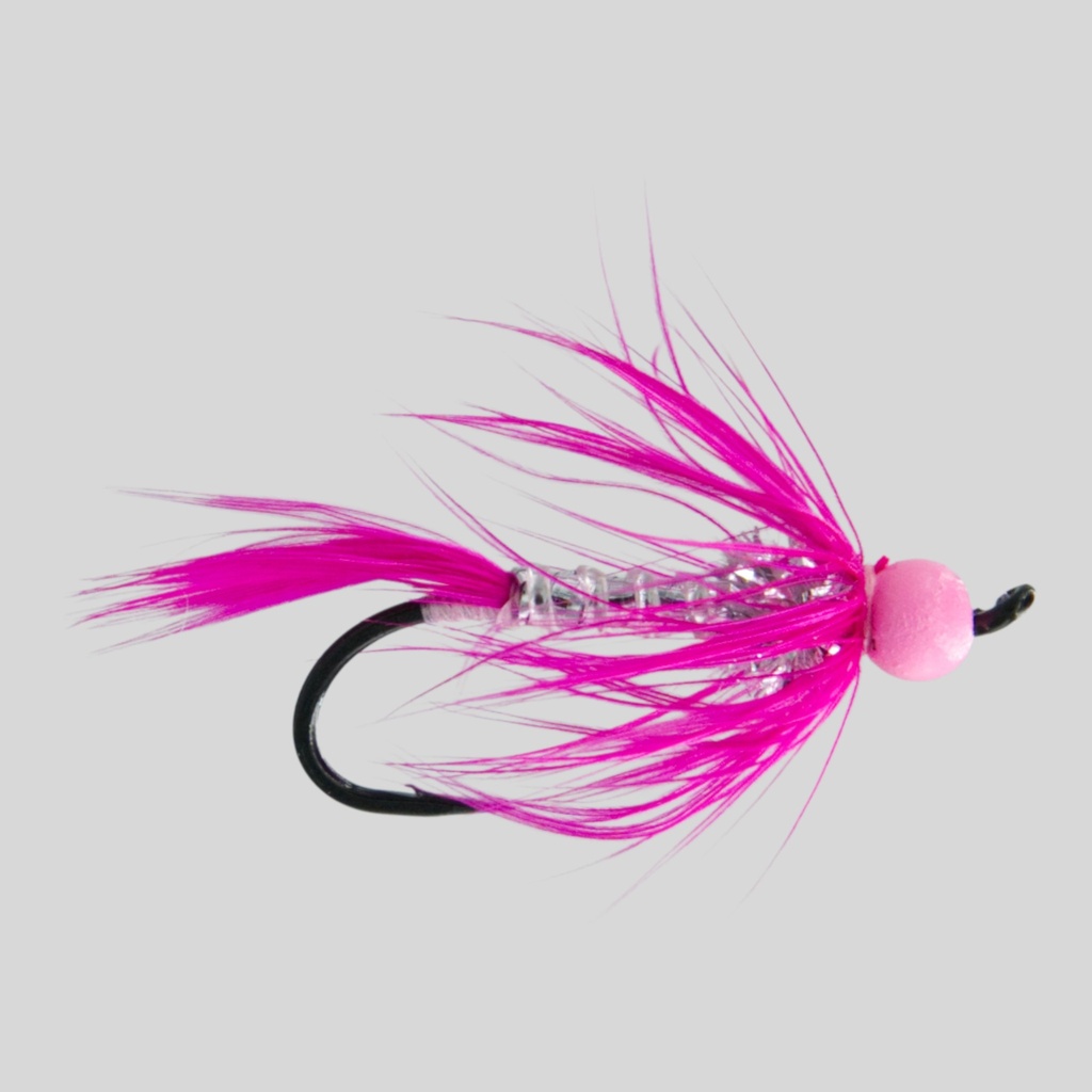 Doug's Blazing Comet - Fuchsia