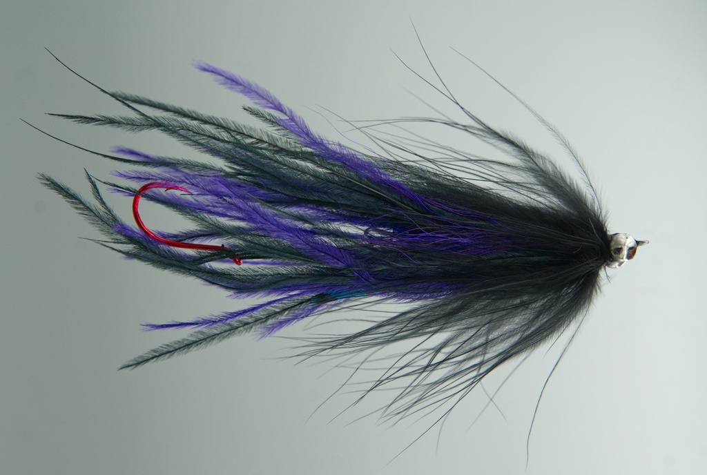 NEPTUNE FLIES - Guide Intruder