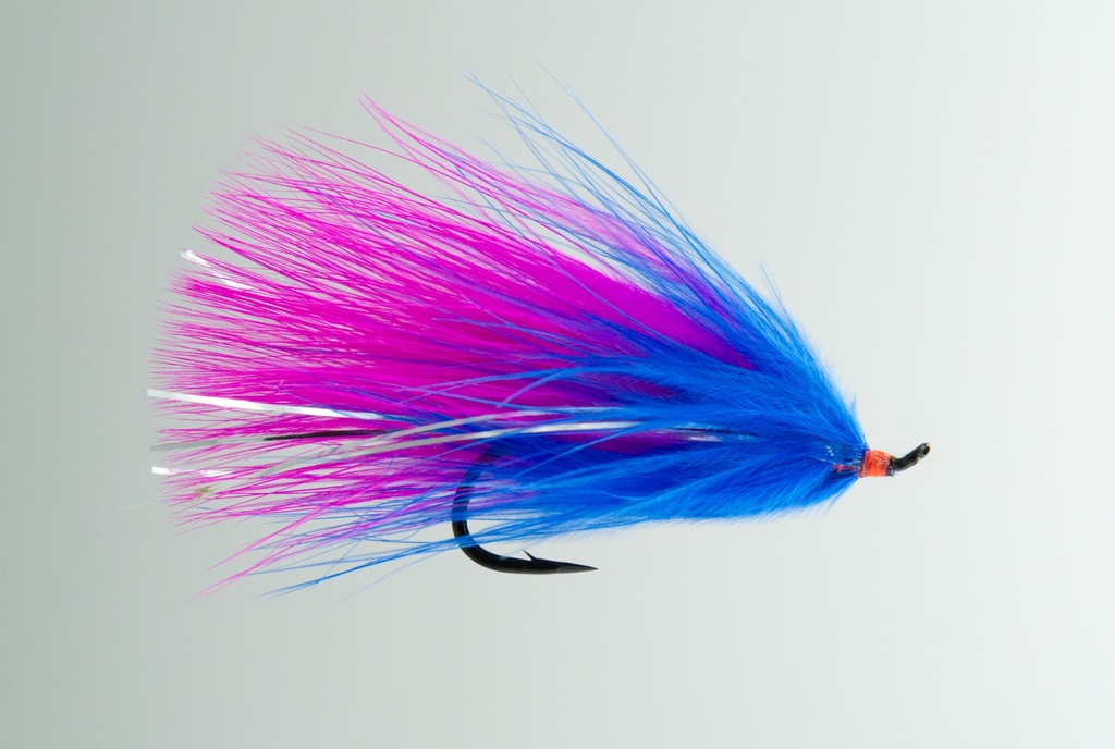 NEPTUNE FLIES - Showgirl